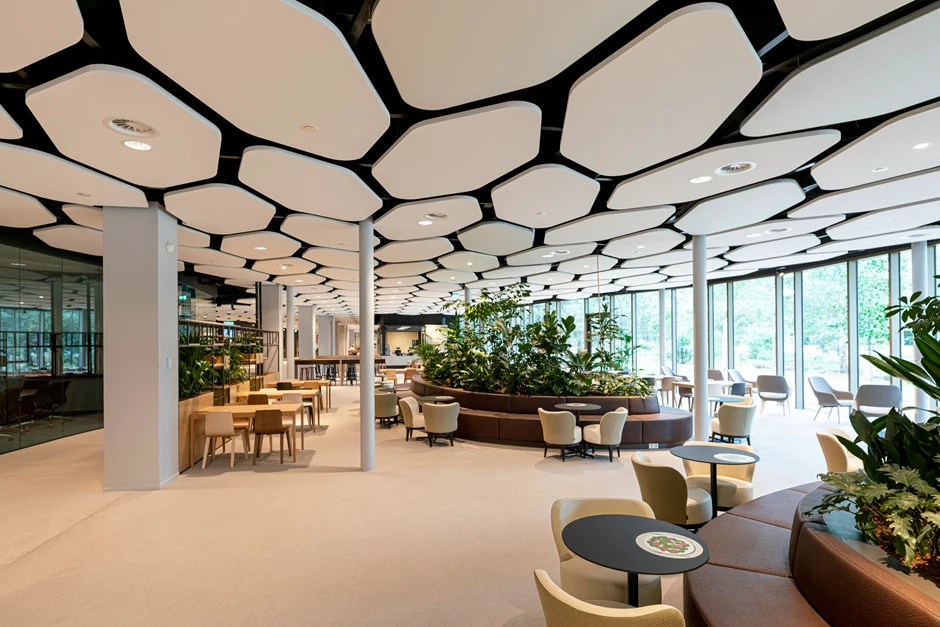 Corporate Offices